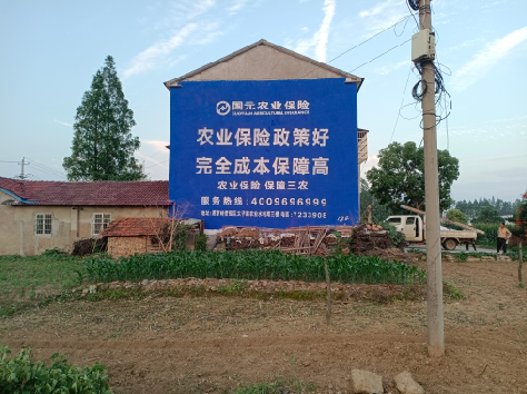 奉新墙体广告的优劣势你知道吗？